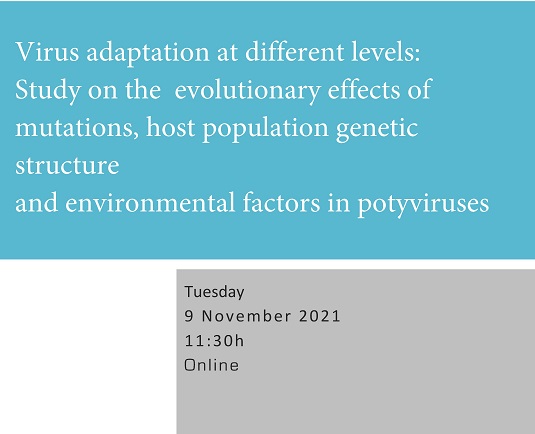 Virus adaptation at different levels: Study on the   evolutionary effects of mutations, host population genetic structure   and environmental factors in potyviruses